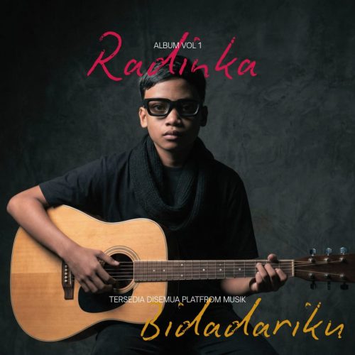 Radinka Galeri (8)